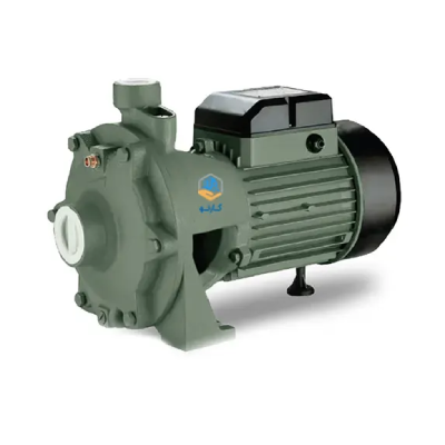 پمپ بشقابی دو پروانه